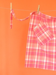 'Gorgeous' checked apron image (15k)